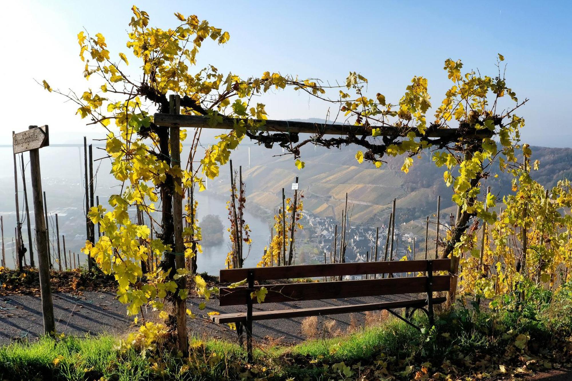 Weingut / Gaestehaus Gerlach Ürzig Exteriör bild