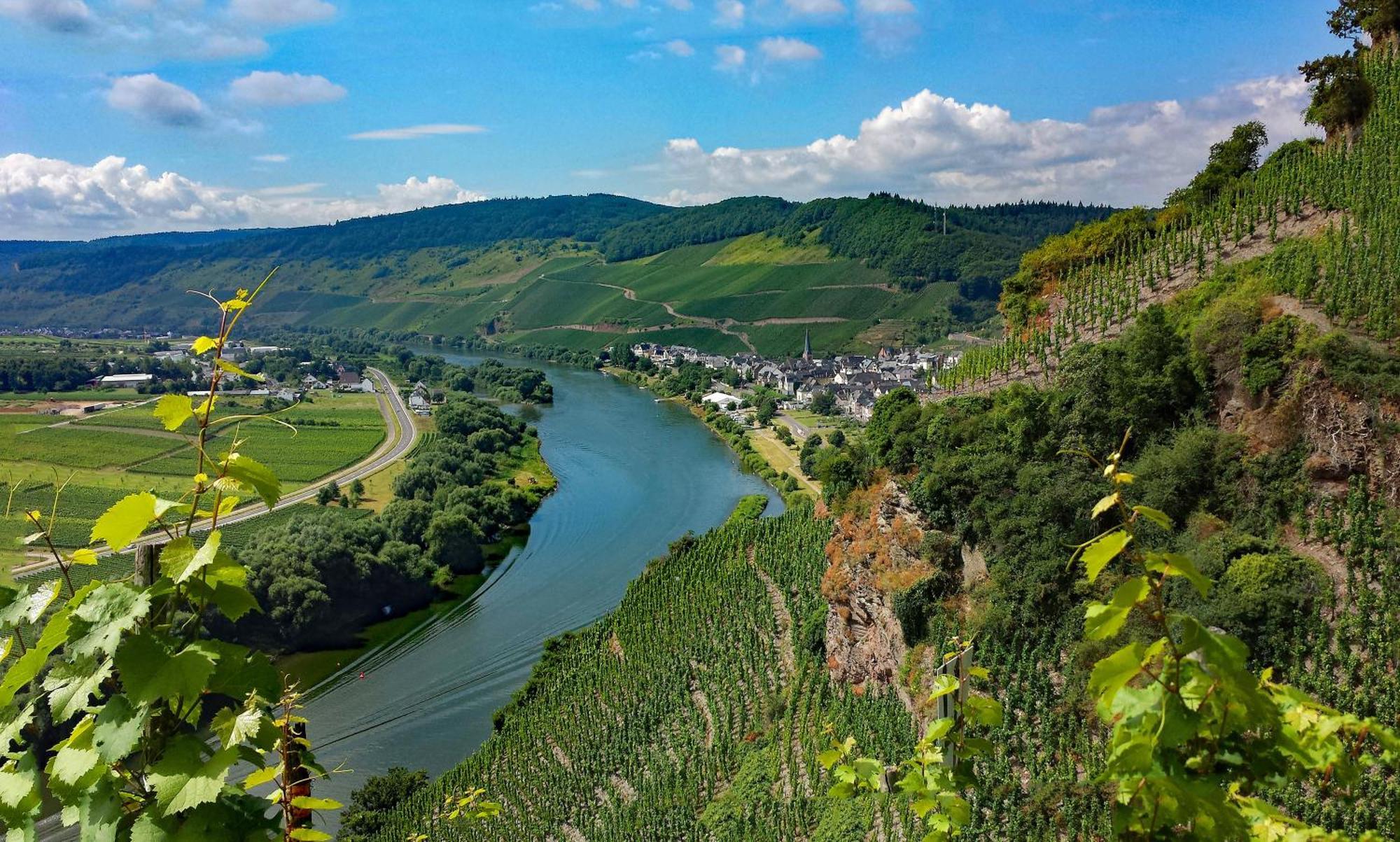 Weingut / Gaestehaus Gerlach Ürzig Exteriör bild