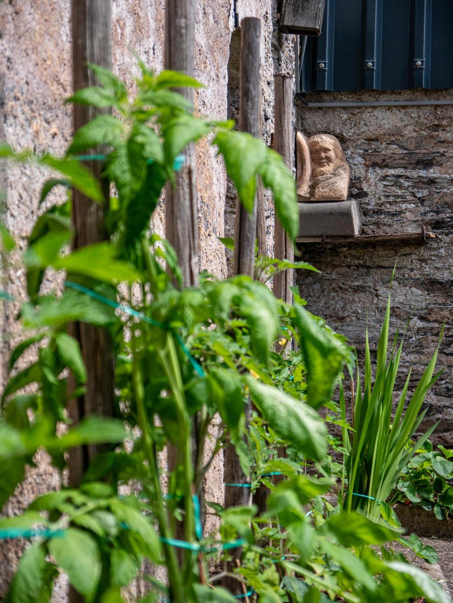 Weingut / Gaestehaus Gerlach Ürzig Exteriör bild