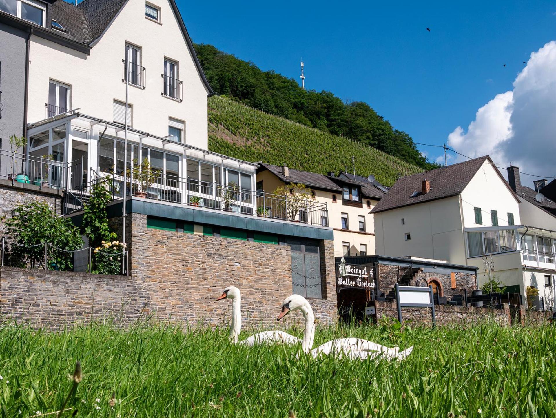 Weingut / Gaestehaus Gerlach Ürzig Exteriör bild