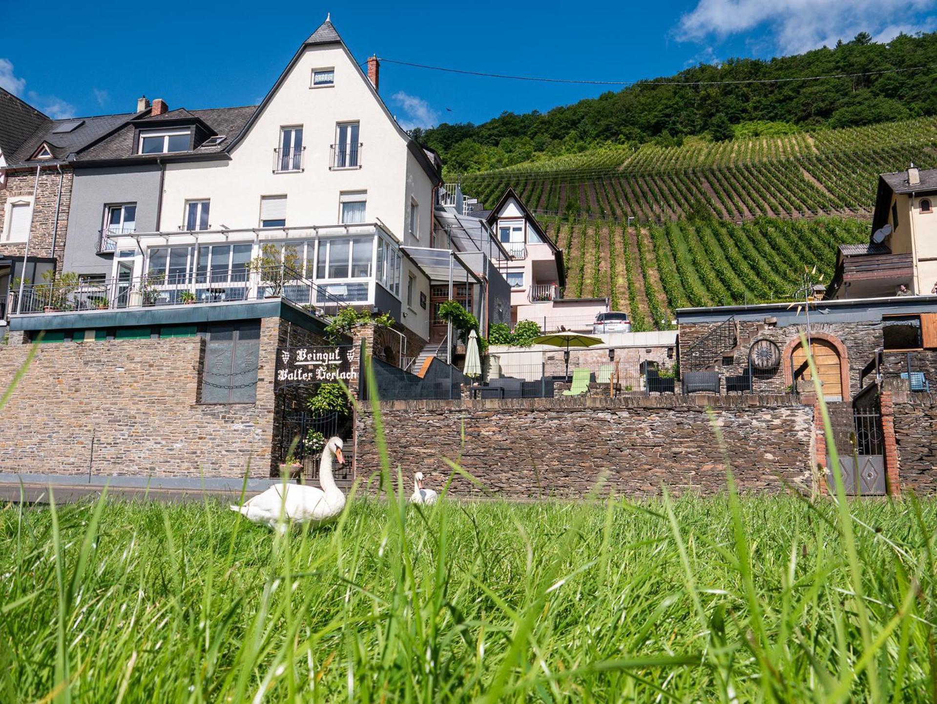 Weingut / Gaestehaus Gerlach Ürzig Exteriör bild