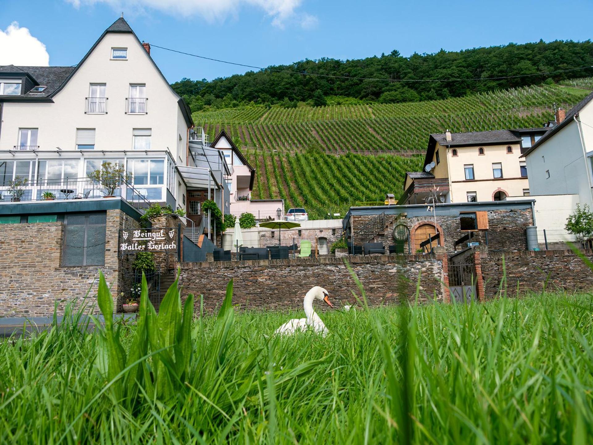 Weingut / Gaestehaus Gerlach Ürzig Exteriör bild